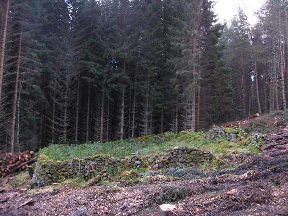 Last remains of Dalno