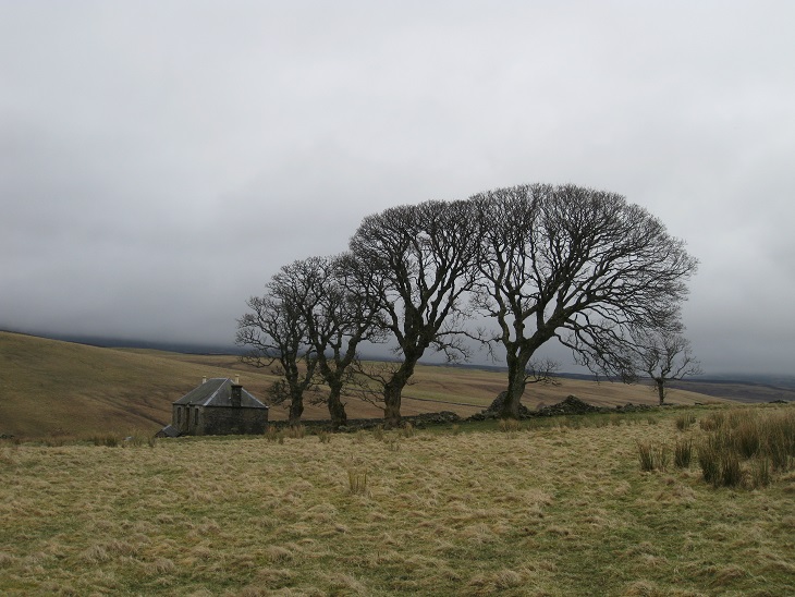 Loinmarstaig, Glen Girnaig